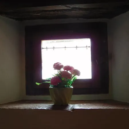 Domus Ghibellinae- Fonte Di San Benedetto קורטונה