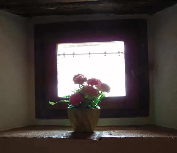 Domus Ghibellinae- Fonte Di San Benedetto 哥尔顿